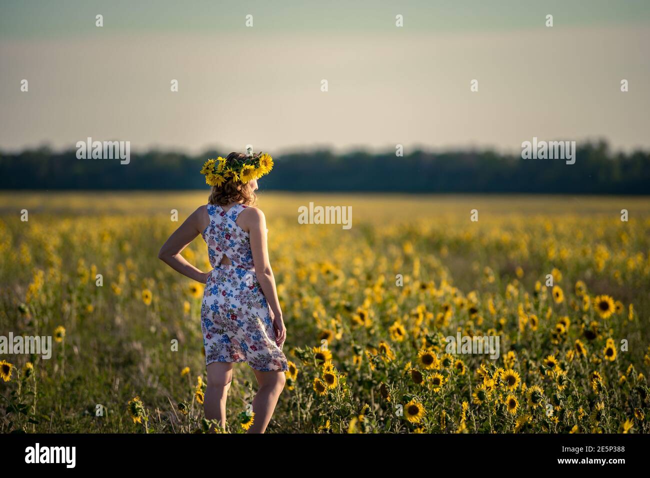Cute redhaired smiling girl in the field full of sunflowers, wreath of ...