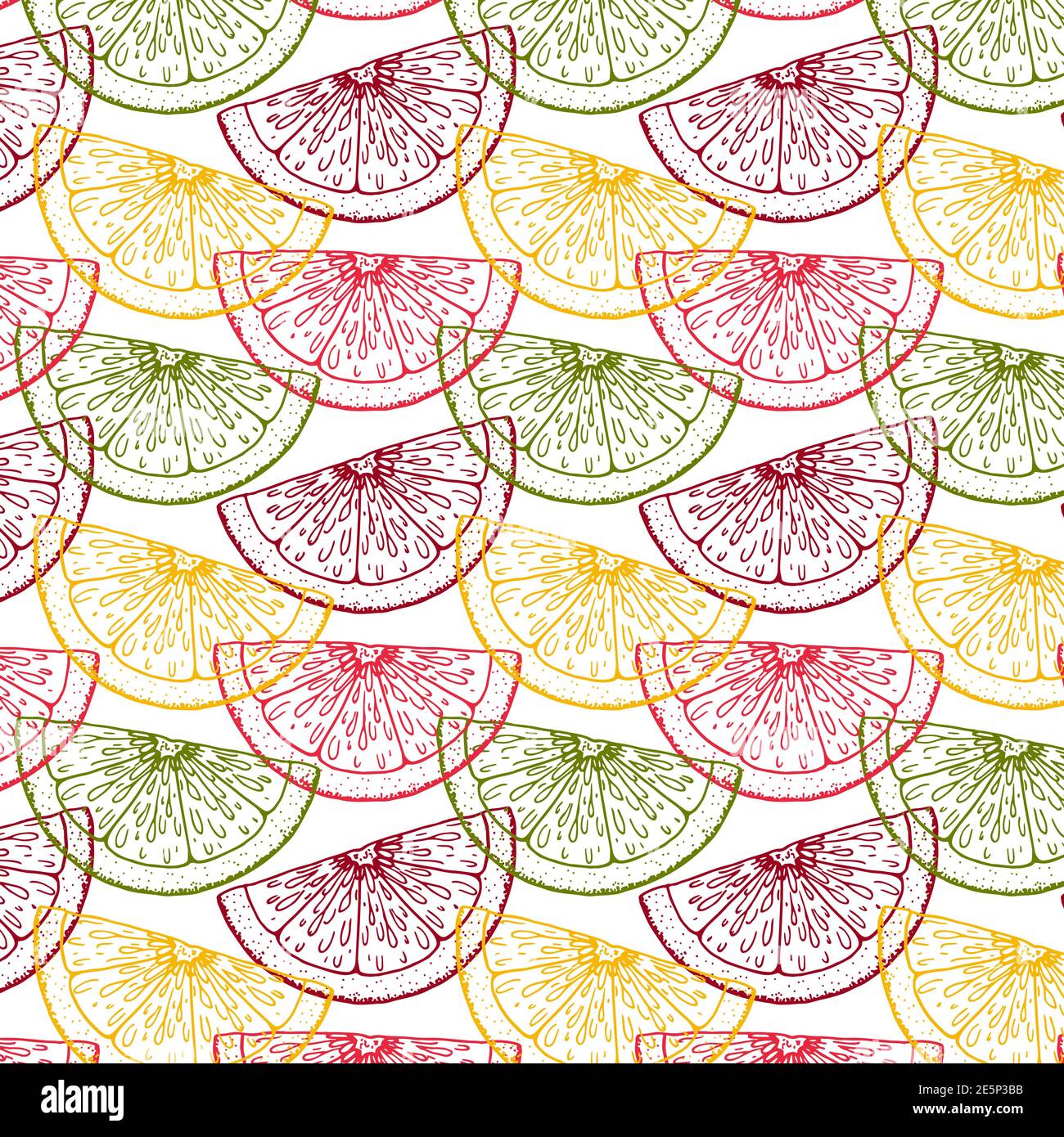 Colorful hand drawn citrus seamless pattern. Vector illustration in ...