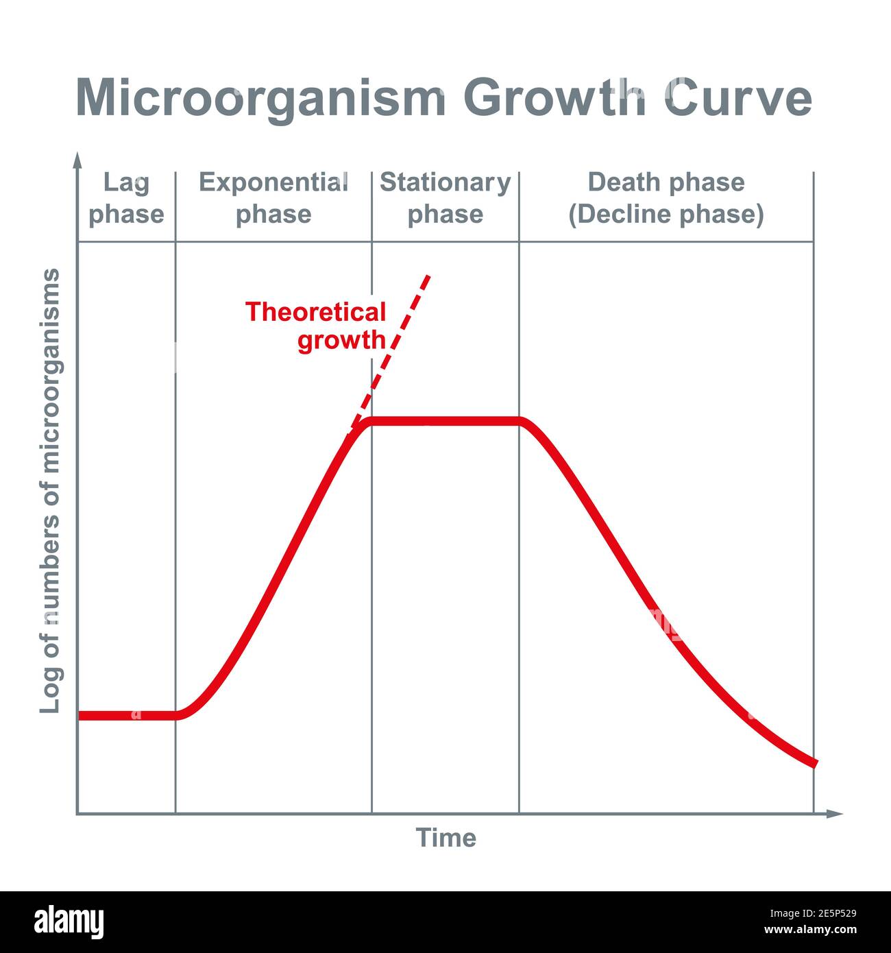 Microorganism growth curve. Ideal kinetic curve of a static culture of microorganisms, such as bacteria, fungi, algae, protozoa and viruses. Stock Photo