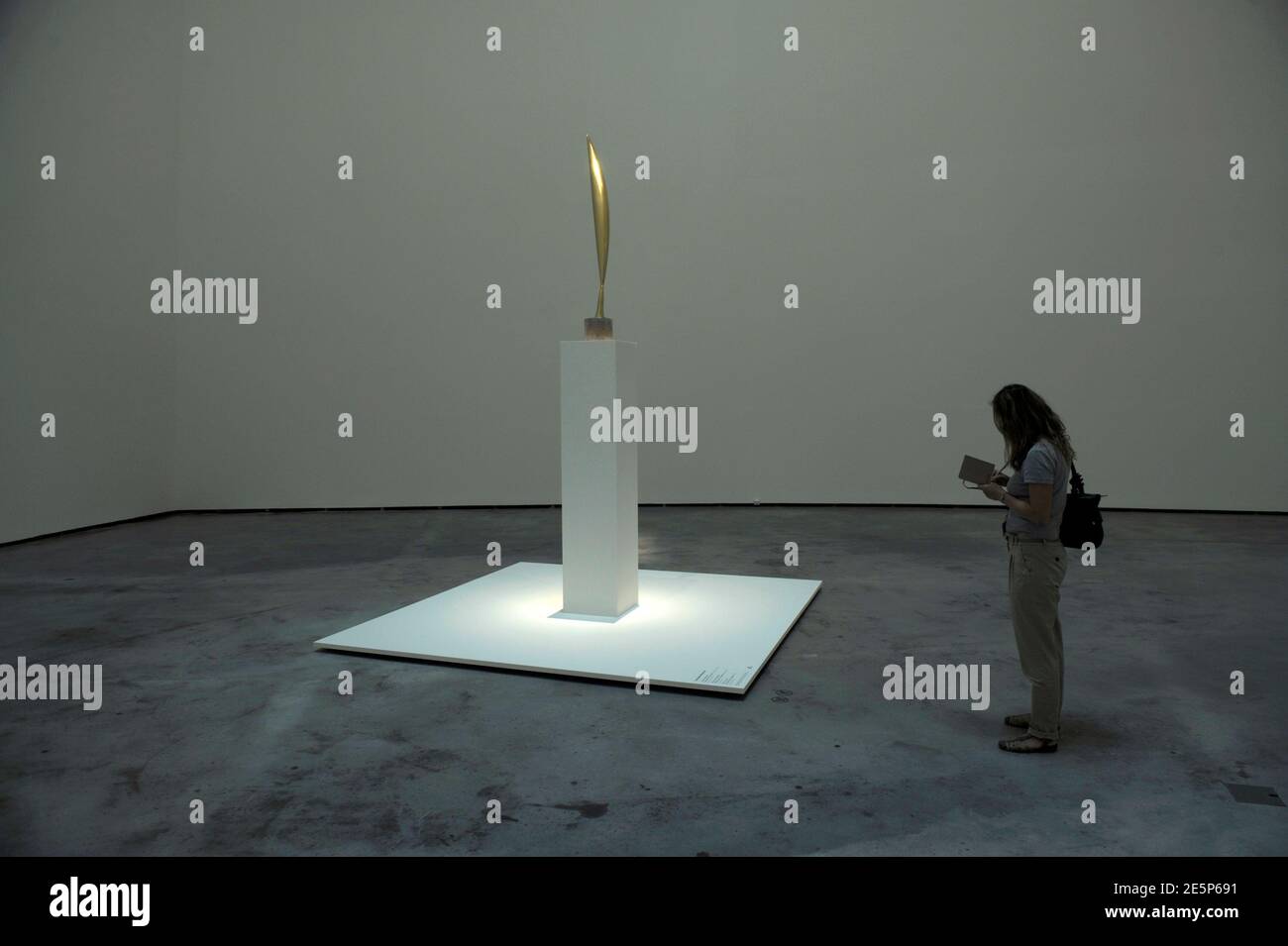The Bird in Space by Brancusi Legal Battle That Changed Modern Art Forever