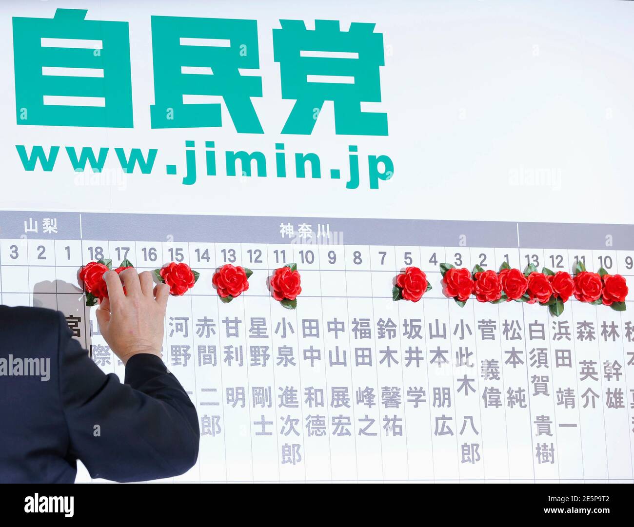 Japan's main opposition Liberal Democratic Party's (LDP) Secretary General  Shigeru Ishiba puts paper roses on names of candidates, who are expected to  win at the LDP headquarters in Tokyo December 16, 2012.