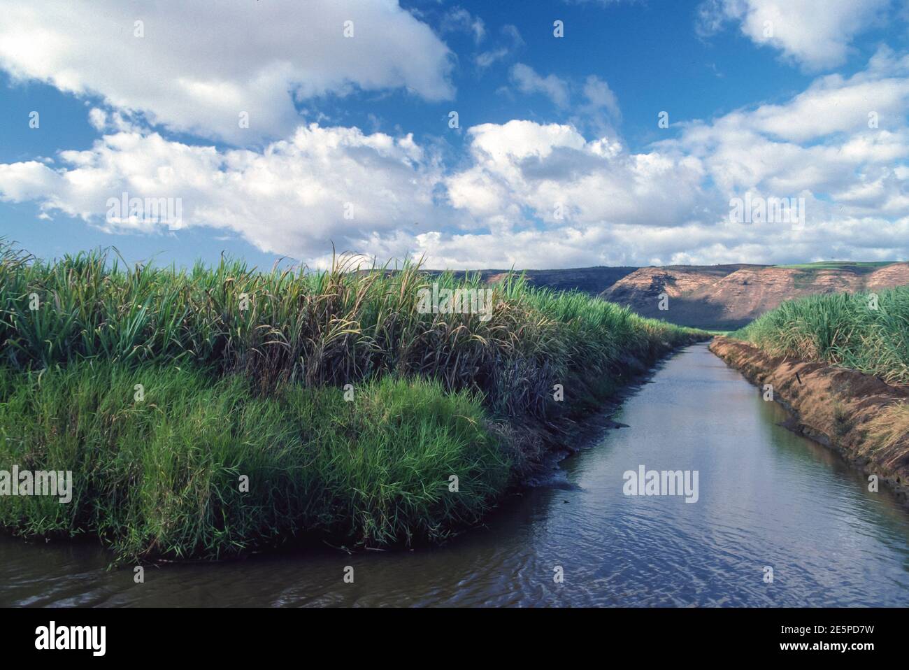 KAUAI, HAWAII, 1984 Sugar cane field and irrigation canal Stock Photo