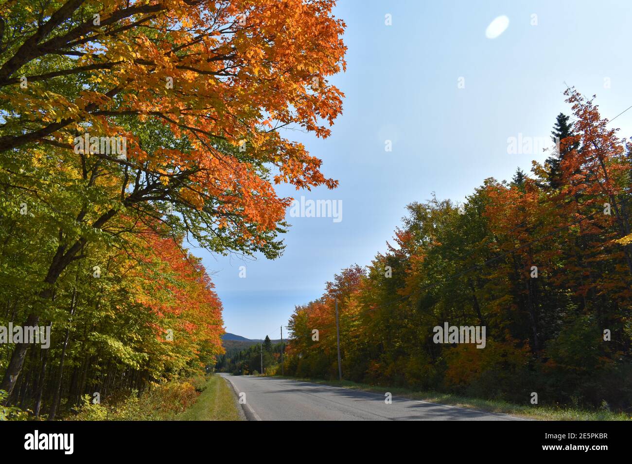 La route de l'église en automne, Sainte-Apolline, Québec Stock Photo