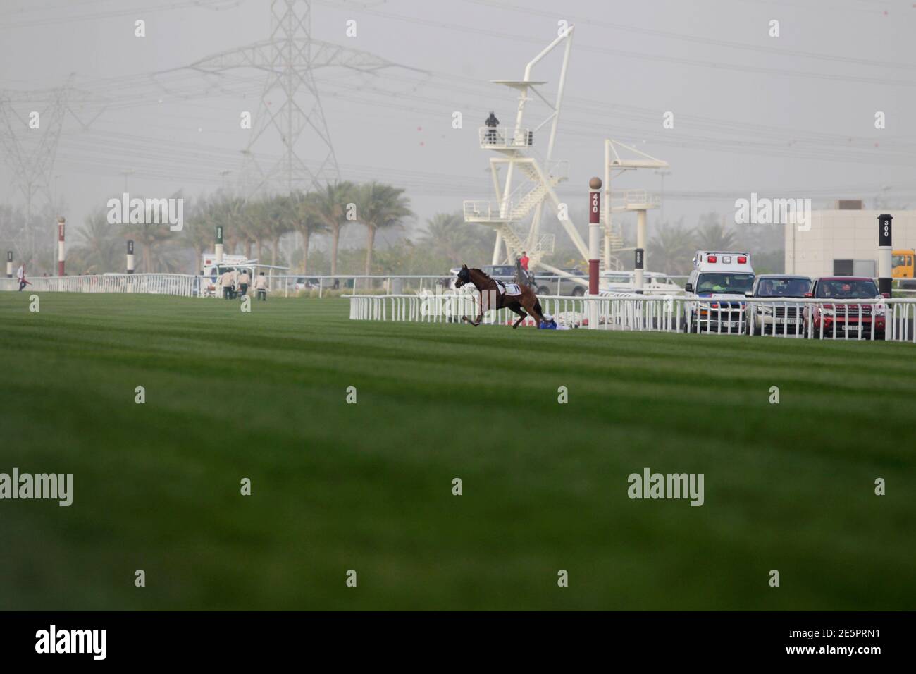 Fox Hunt of Ireland, ridden by Silvestre De Sousa, falls as it breaks its leg while competing in the third race during the 17th Dubai World Cup at the Meydan racecourse in Dubai March 31, 2012. The Dubai World Cup, with a cash prize of $10 million, is horse racing's richest race. REUTERS/Caren Firouz (UNITED ARAB EMIRATES - Tags: SPORT HORSE RACING) Stock Photo