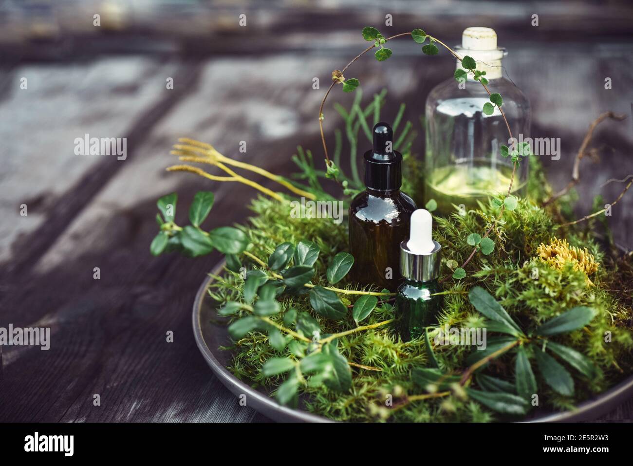 Bottles with natural cosmetic serum oils for face and body care with fresh plants on wooden background. Organic spa cosmetics concept Stock Photo