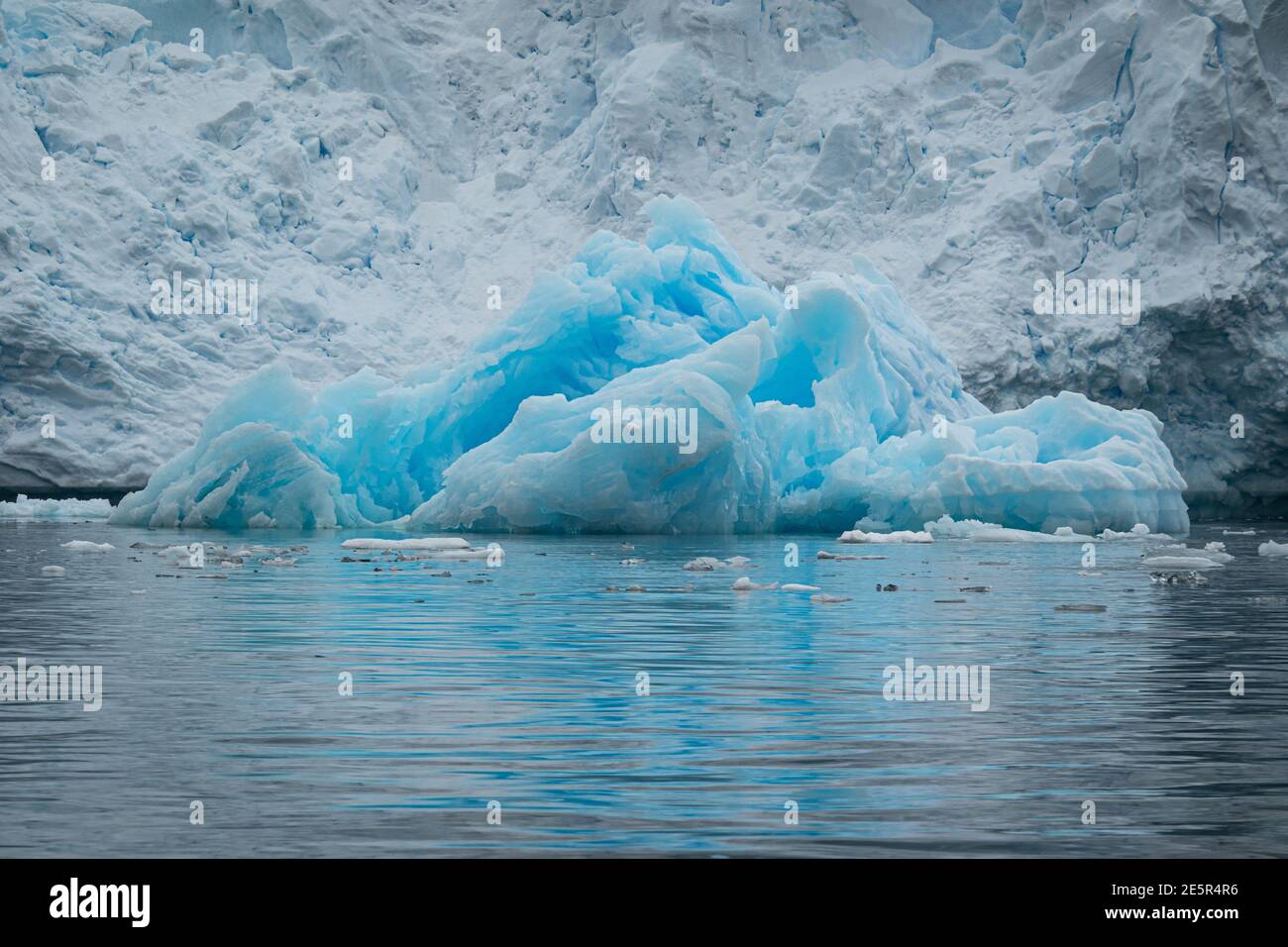 Icebergs in Antarctica Stock Photo