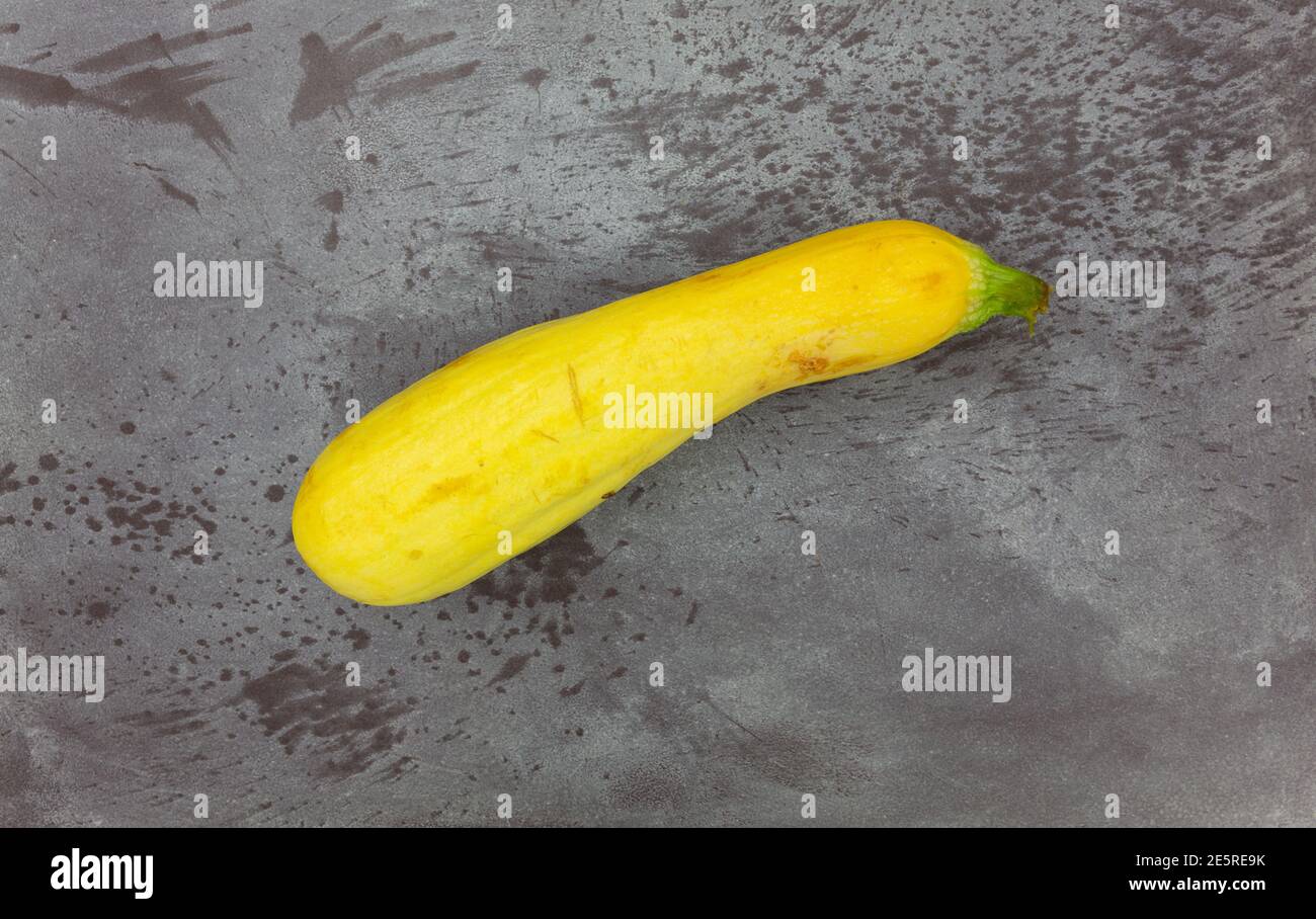 Top view of a single home garden grown yellow summer squash on a gray mottled background. Stock Photo