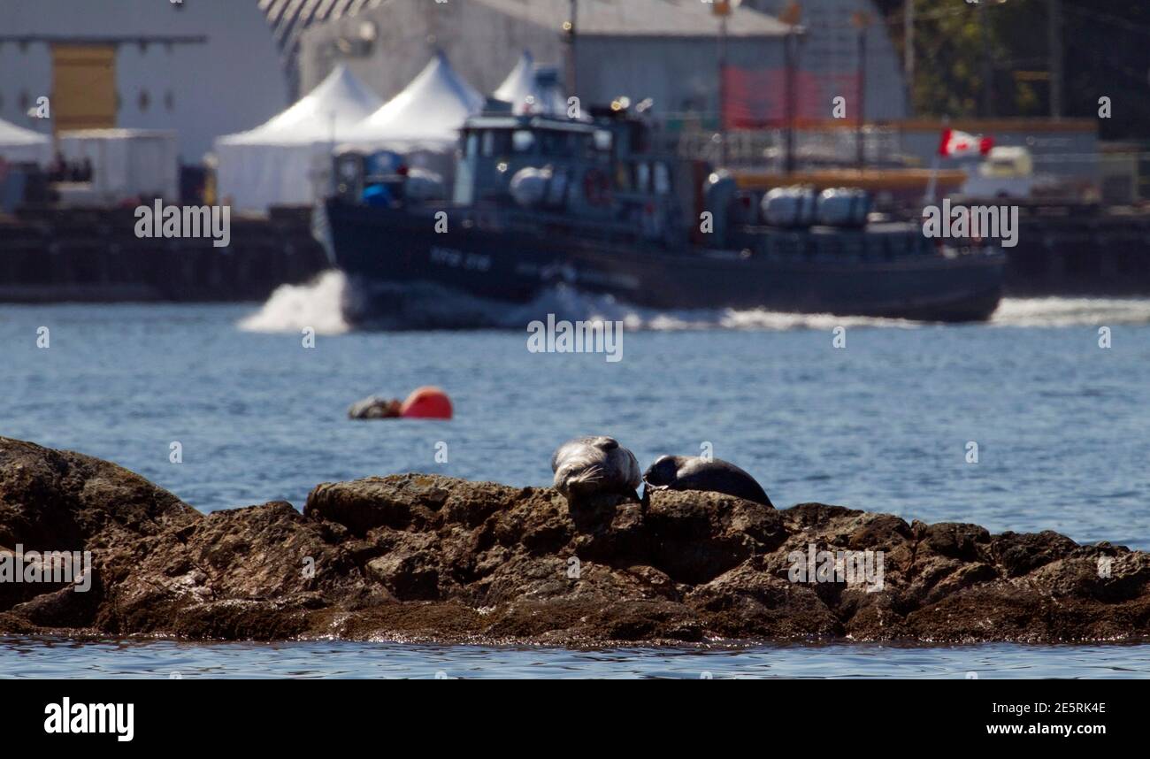 Canadian Nurses High Resolution Stock Photography And Images Alamy