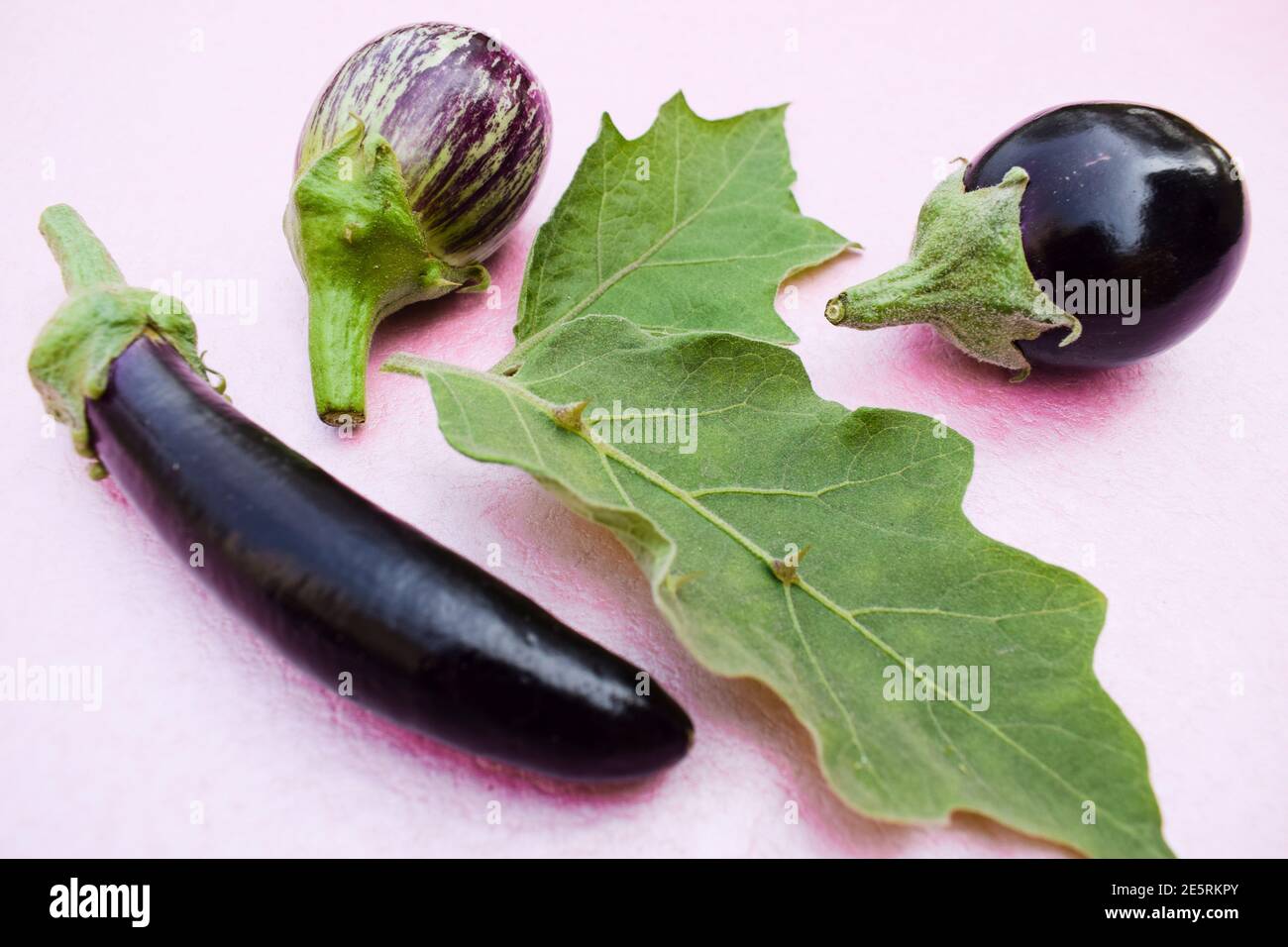 Three different variety types of Brinjals also called Eggplants and