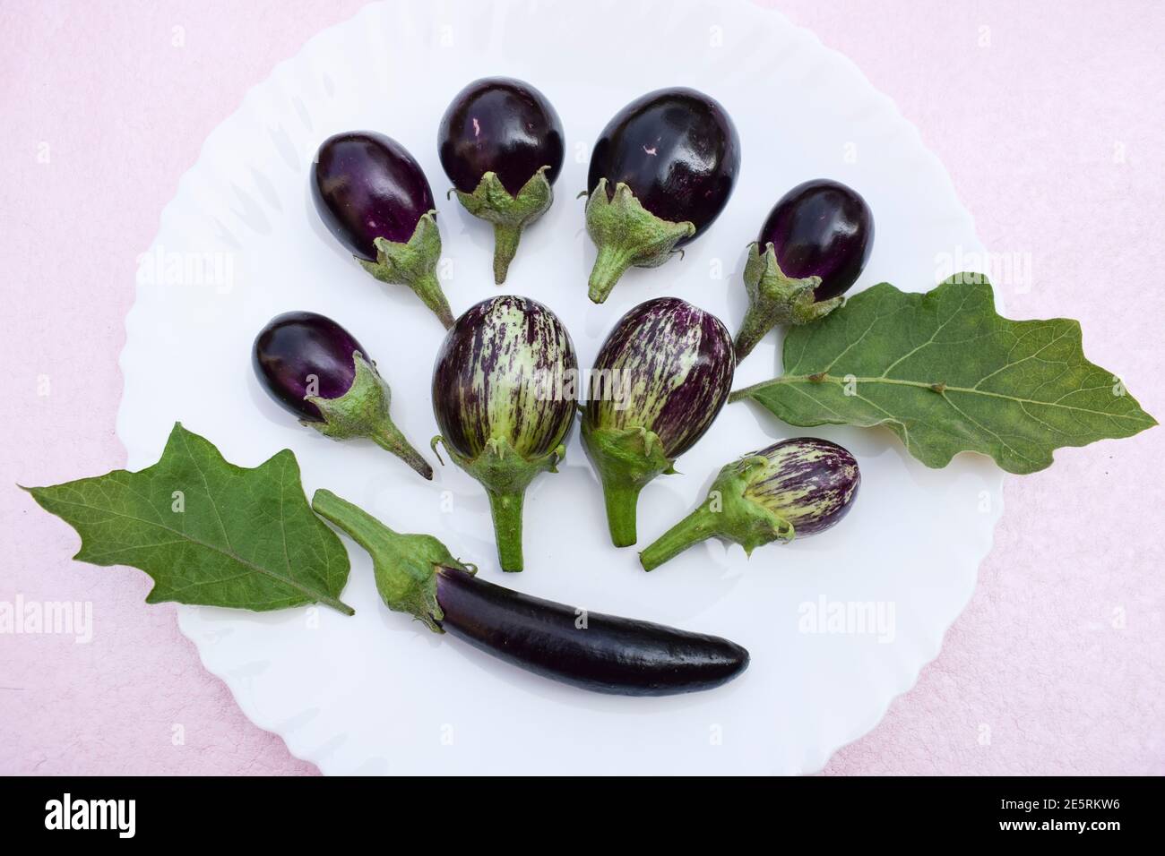Three different variety types of Brinjals also called Eggplants and