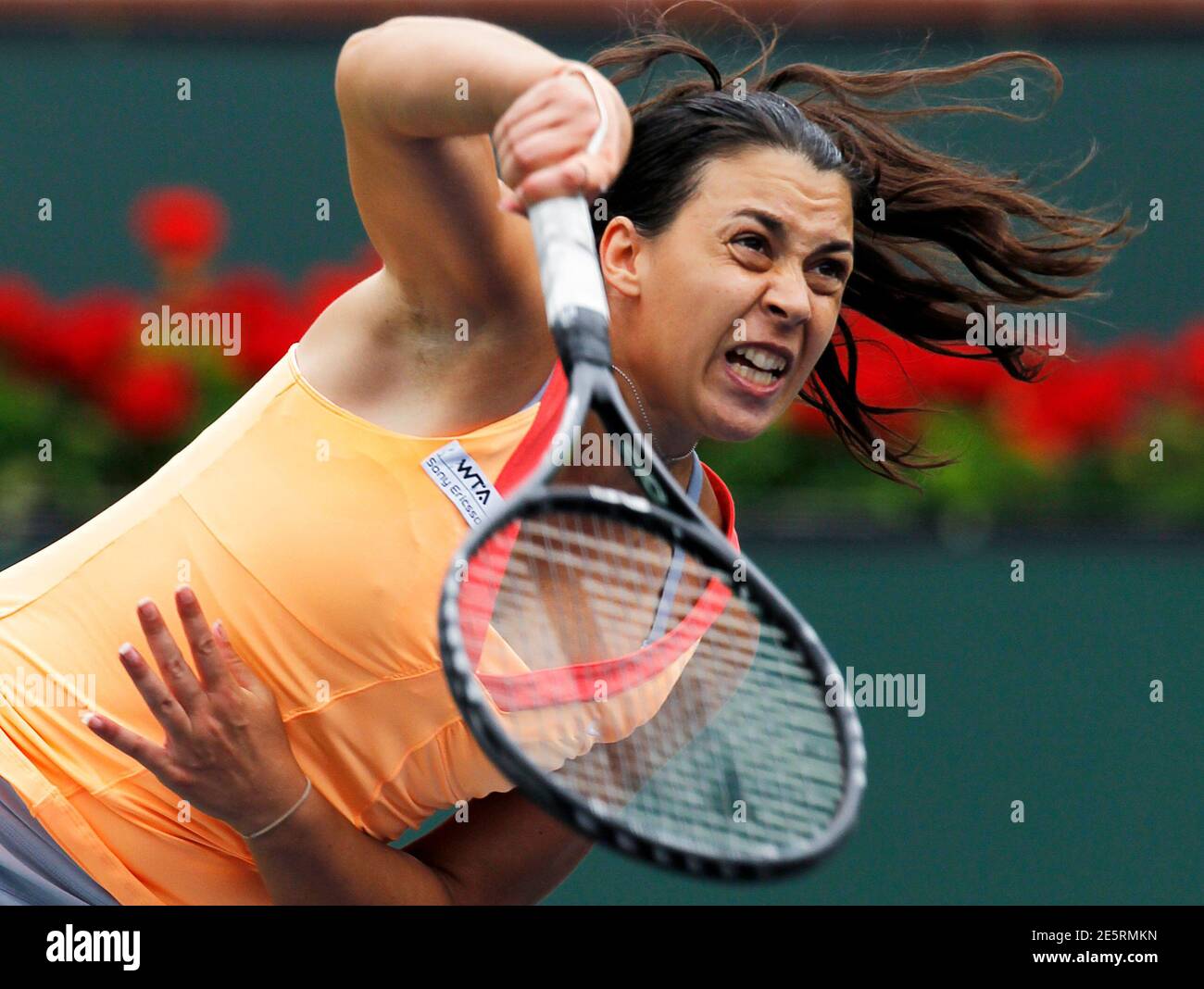 Marion Bartoli High Resolution Stock Photography and Images - Alamy