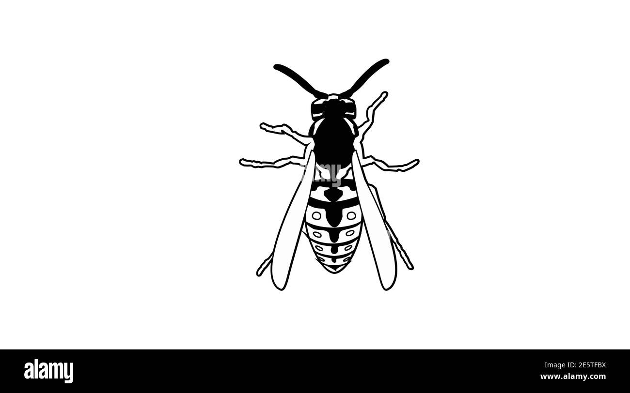Vector Isolated Black and White Illustration of a Wasp. Wasp Icon Stock Vector