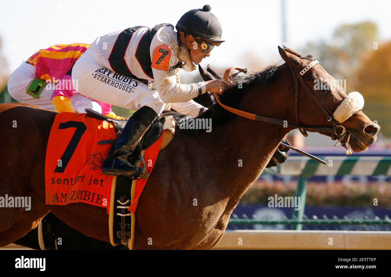 Hertenstein High Resolution Stock Photography and Images - Alamy