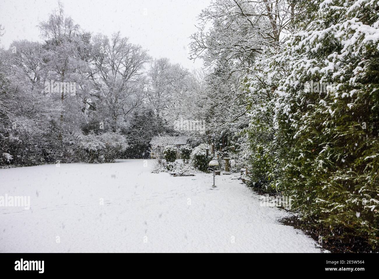 Snowy Back Garden High Resolution Stock Photography And Images Alamy