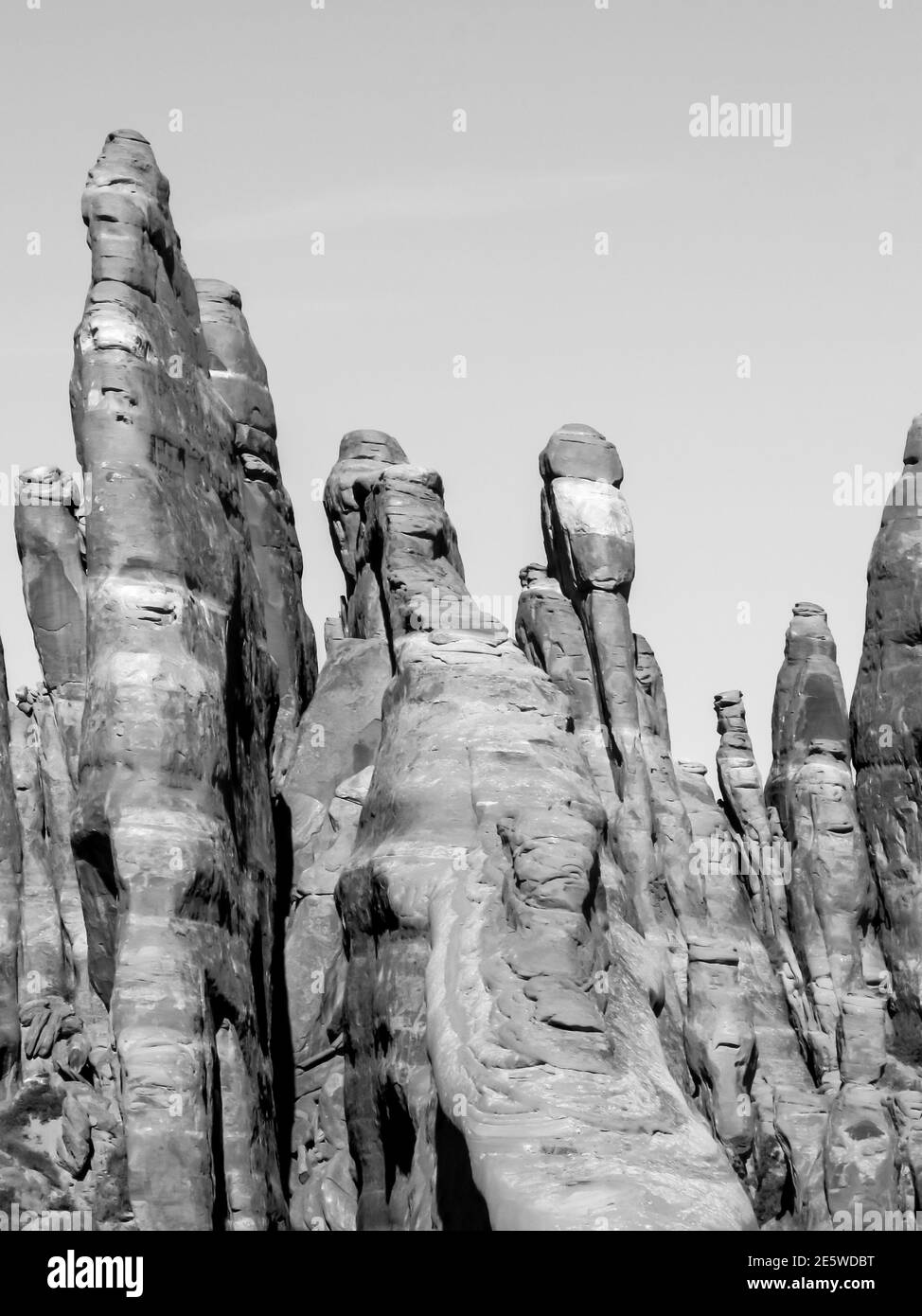 Delicate Sandstone spires in the Devil’s garden section of Arches National Park, Utah, USA, in black and white Stock Photo
