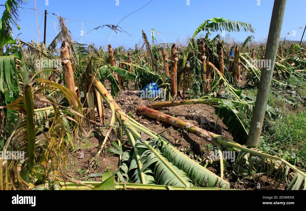 Hurricane gilbert and jamaica hi-res stock photography and images - Alamy