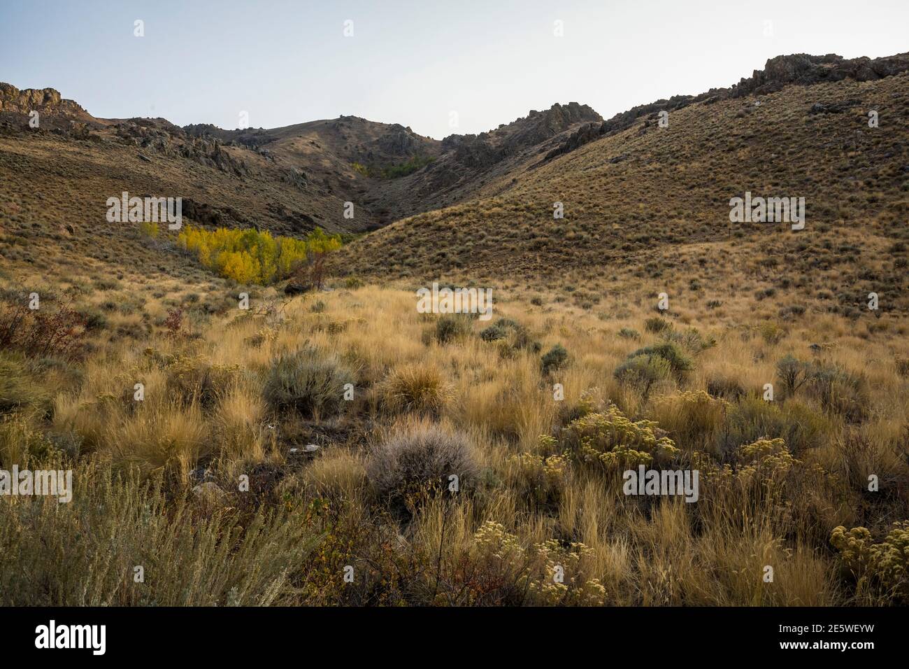 Winnetka Ravines Winnemucca, nevada hi-res stock photography and images - Alamy