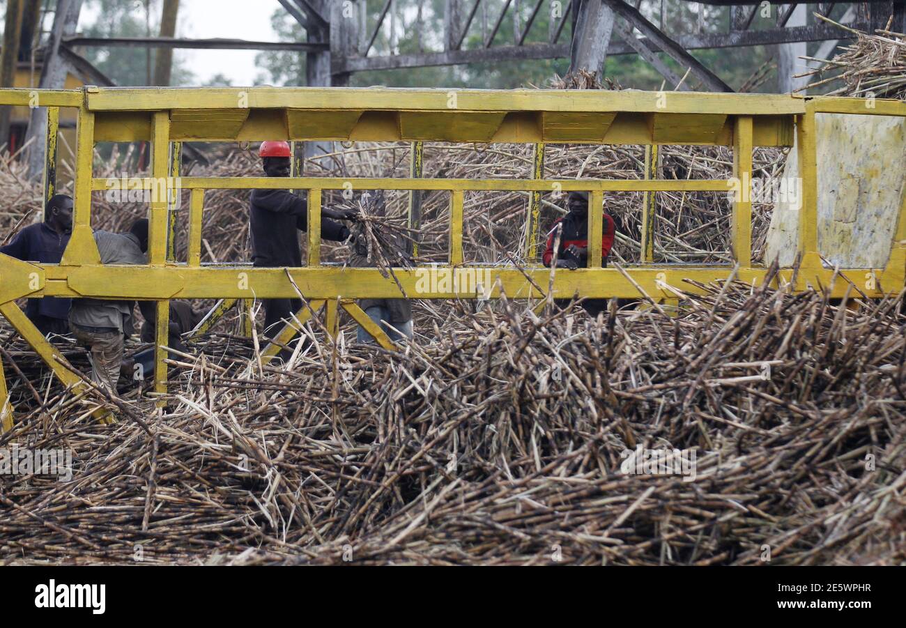 Sugar cane tractor kenya hires stock photography and images Alamy