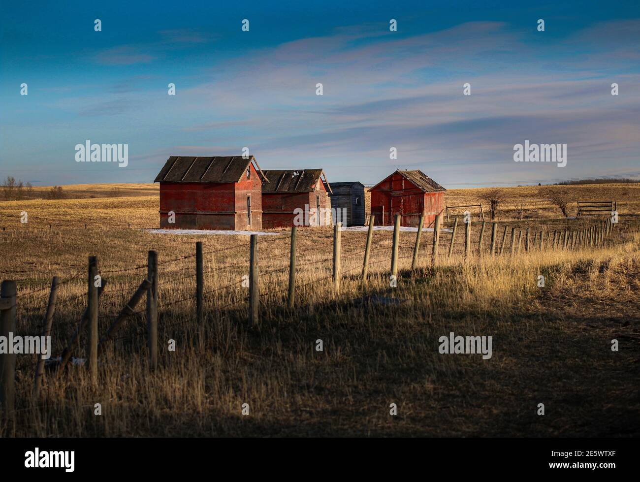 Barns in alberta Stock Photo Alamy
