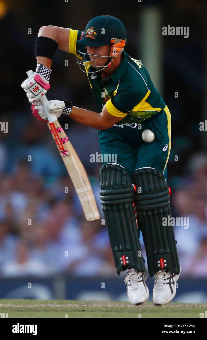 Australia's batsman David Warner is 