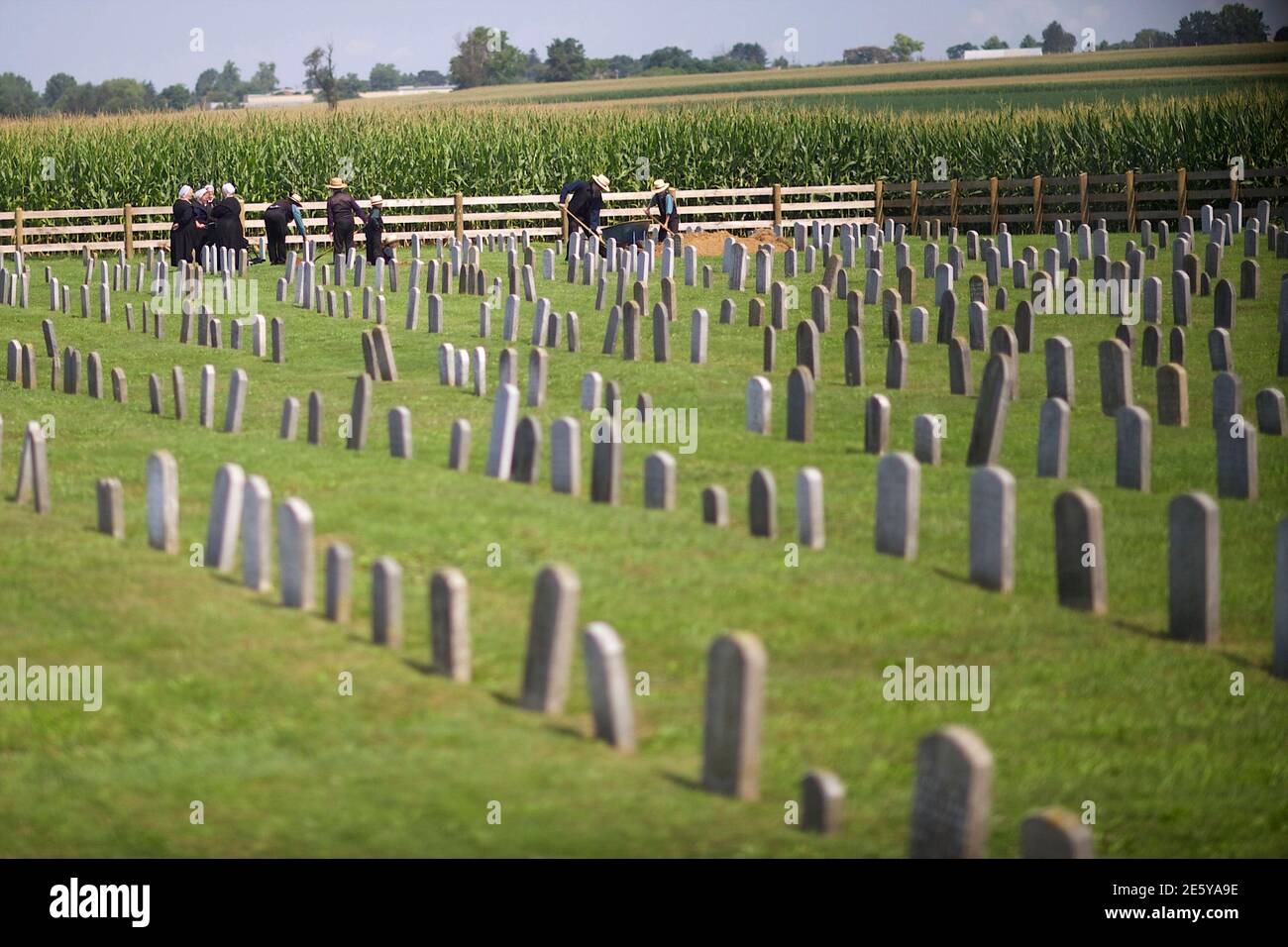watch breaking amish brave new world online free watch breaking amish brave new world online free