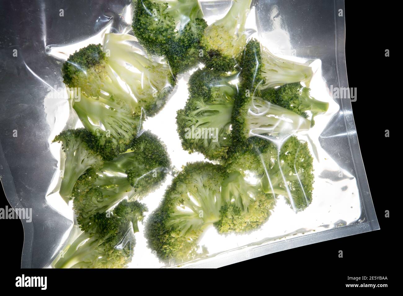 broccoli vegetable vacuum packed sealed for sous vide cooking.backlight