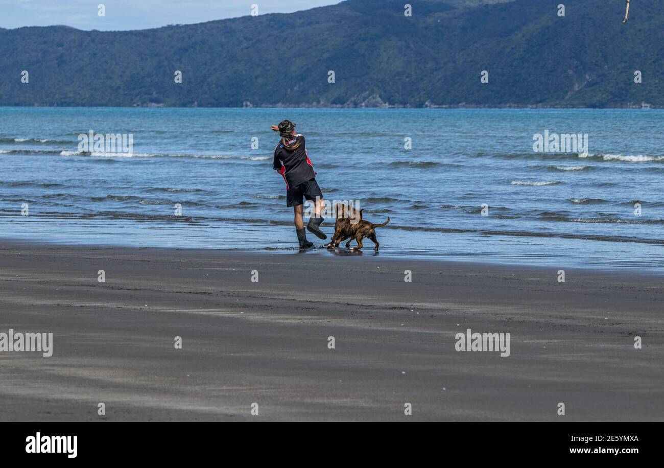 Man throwing stick for dogs Stock Photo