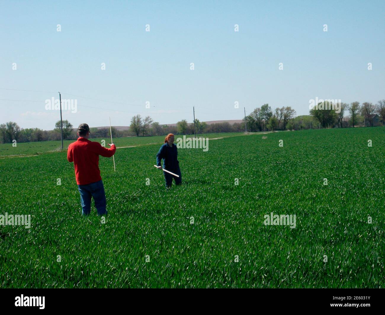 Kansas ks crops growing hires stock photography and images Alamy