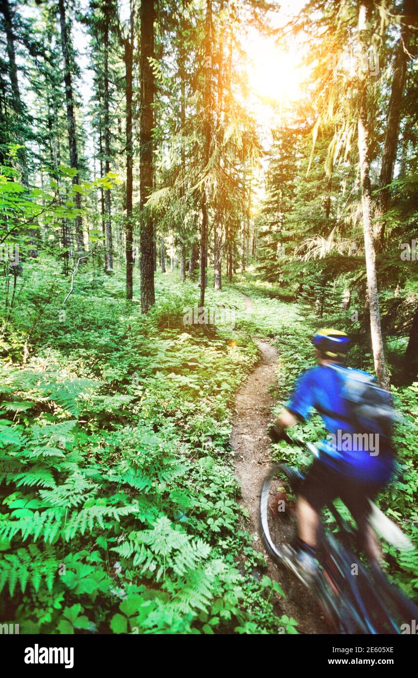 Rear view male cyclist hi-res stock photography and images - Alamy