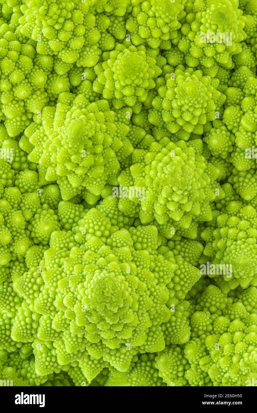 Cauliflower and Chaos, Fractals in Every Floret - The New York Times