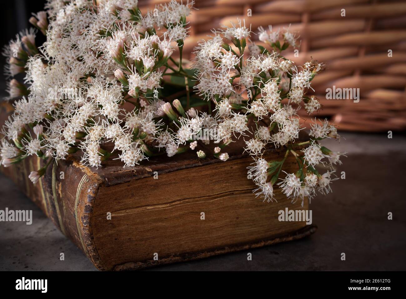 Campestral setting in brown tones showing an old weathered closed book with bouquet of wild fresh flowers on top and detail of picnic wicker basket Stock Photo