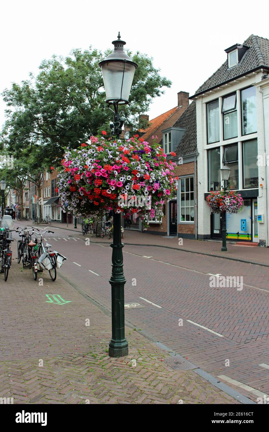 Old-fashioned lamppost with hanging flower basket. The flowers are mainly petunias in different colors. A Dutch street with houses, trees and bicycles. Stock Photo