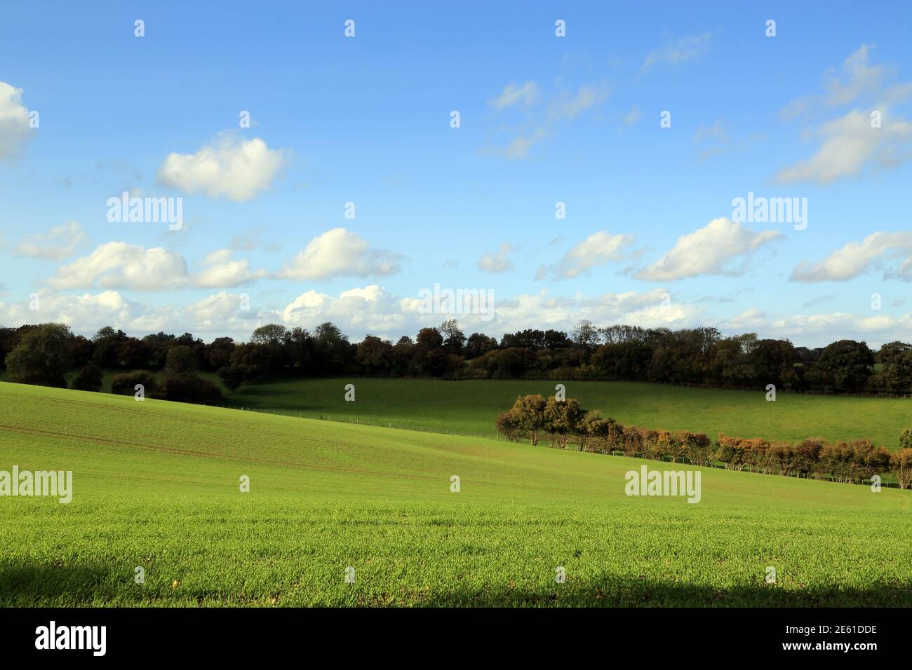 Fields and landscape between Whatsole Street and Lymbridge Green, Stowting, Ashford, Kent, England, United Kingdom Stock Photo