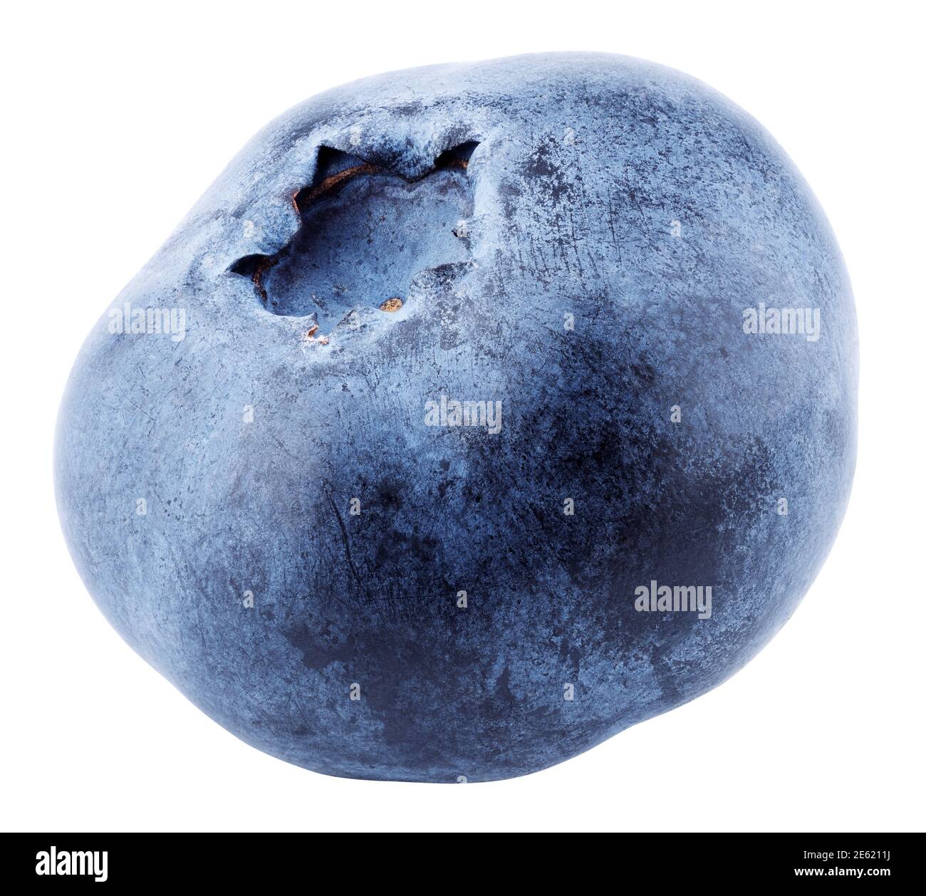 Single Blueberry Berry Isolated On White Background Blueberry With Clipping Path Full Depth Of Field Stock Photo Alamy