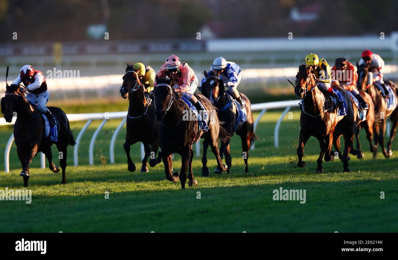 Royal Randwick Racecourse High Resolution Stock Photography And Images Alamy