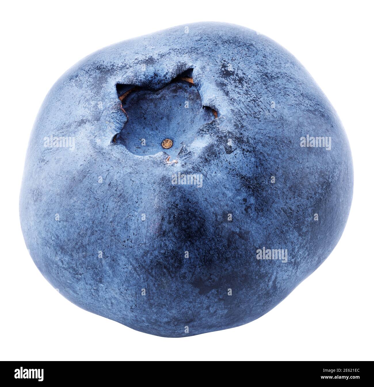 Single Blueberry Berry Isolated On White Background Blueberry With Clipping Path Full Depth Of Field Stock Photo Alamy
