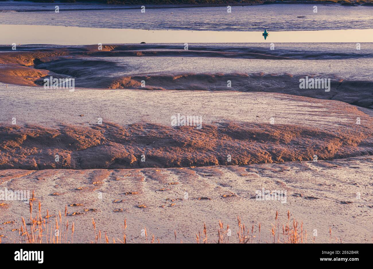 Tidal river mud flats, muddy river bank in the setting sun, tidal river