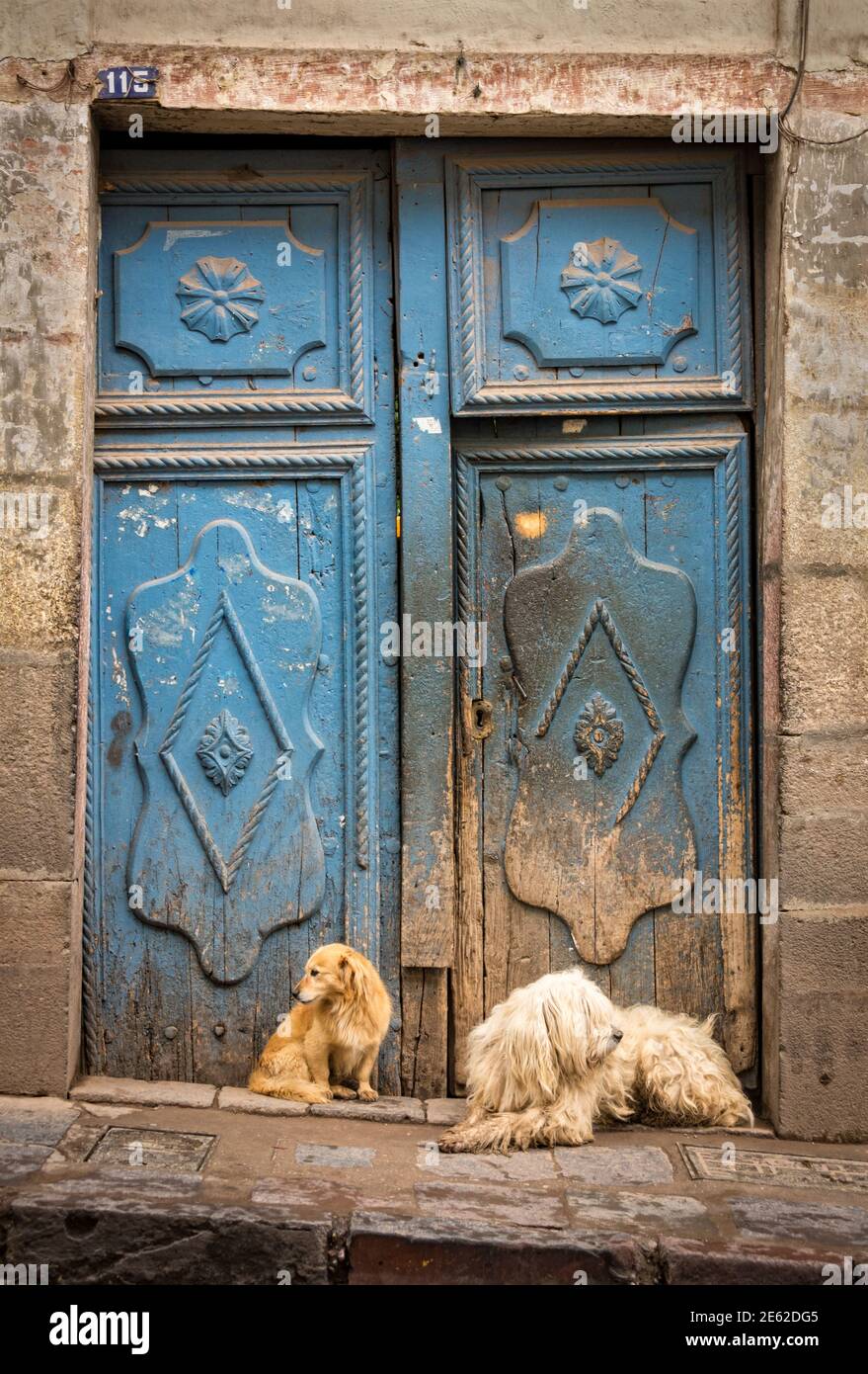 Double door and double dogs in Cusco, Peru. Stock Photo