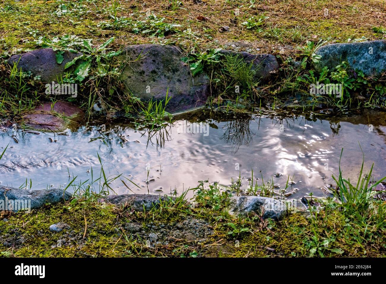 the water surface of a rivulet that crosses a meadow Stock Photo
