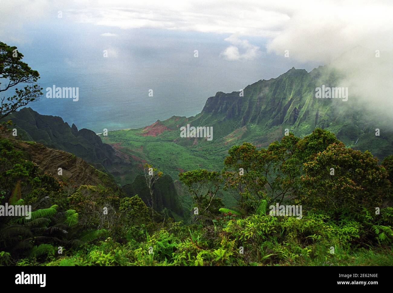 Kalalau Valley and Beach, Fog coming in, Kalalau lookout, Wiamea Canyon, Kauai, HI 030427 221 Stock Photo