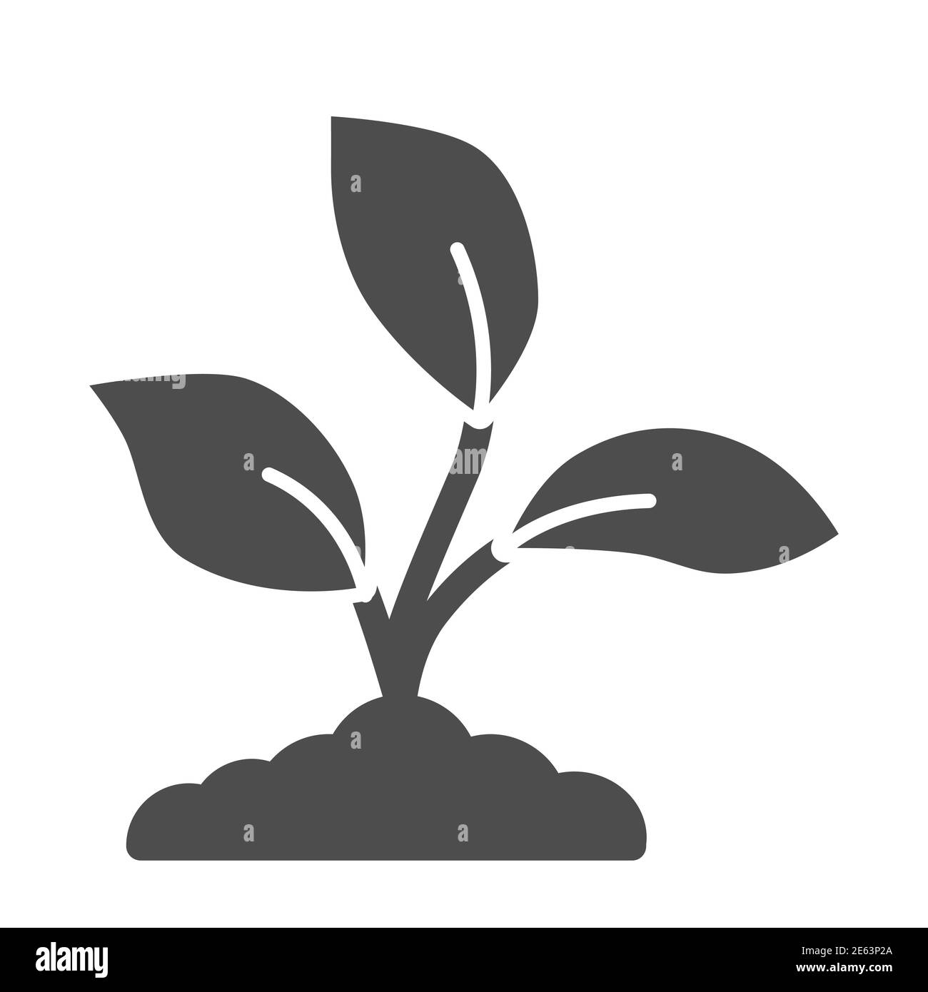 Grow on seedlings Stock Vector Images - Alamy