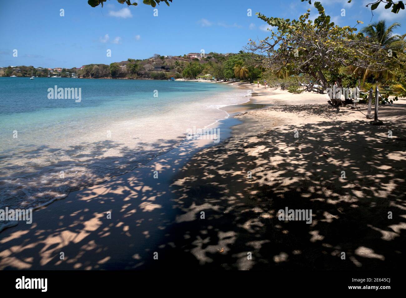 tree shadows l'anse aux epines beach prickly bay grenada windward