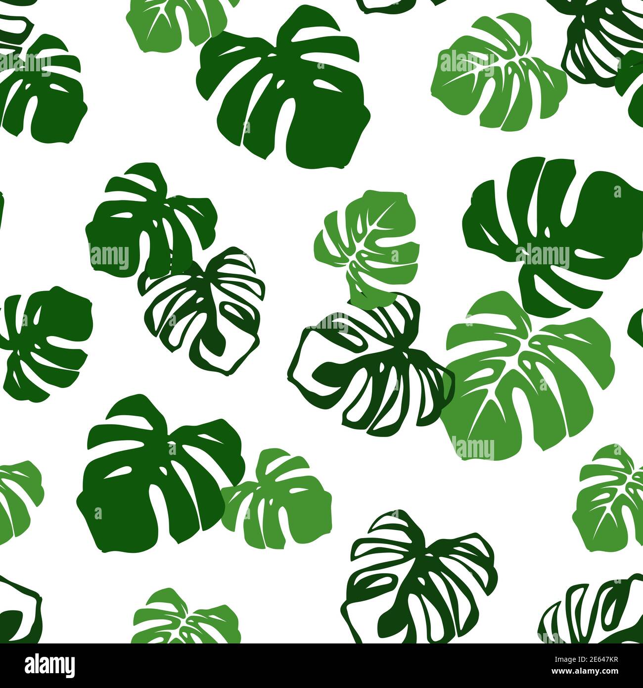 Vector tropical seamless pattern with green monstera leaves on white ...