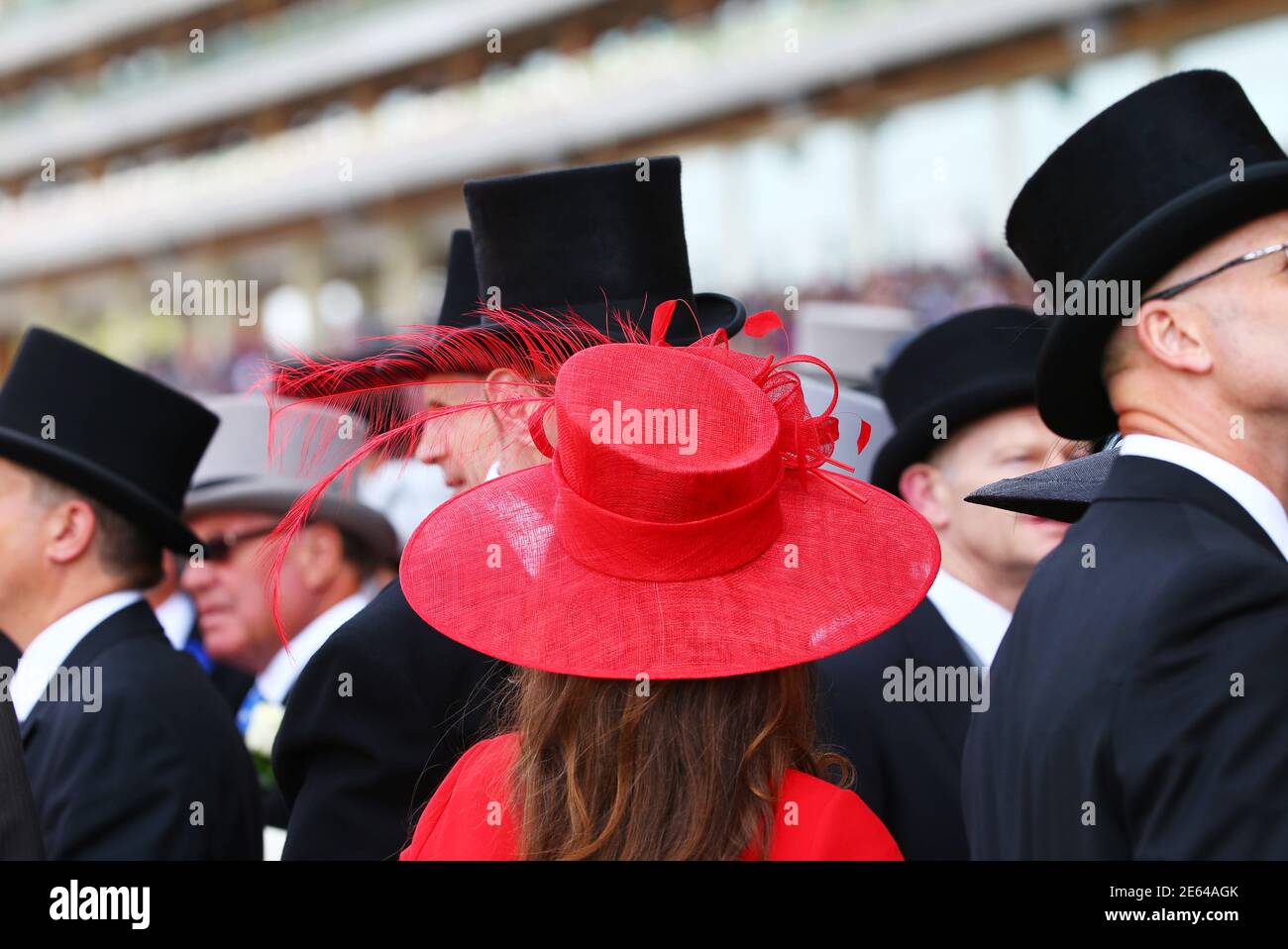 Ladies fashion at royal ascot hi-res stock photography and images - Alamy