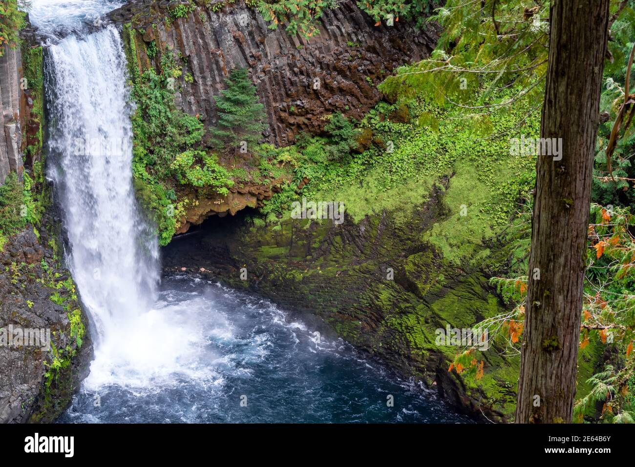 Beautiful view of Toketee Falls in southern Oregon Stock Photo