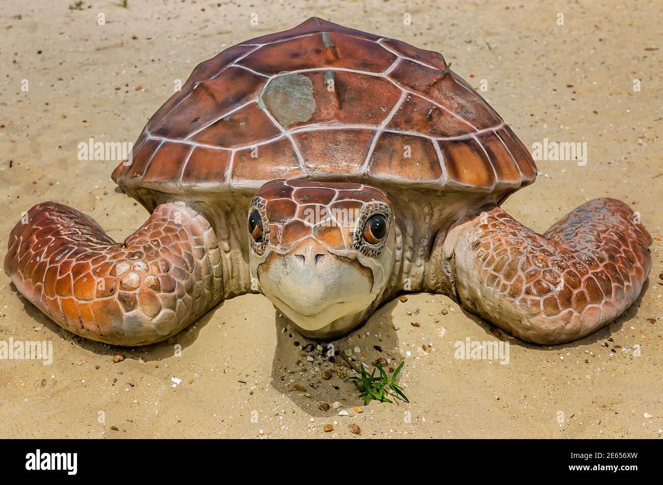 A loggerhead sea turtle sculpture is displayed at the Dauphin Island Sea Lab and Estuarium,  June 23, 2017, in Dauphin Island, Alabama. Stock Photo