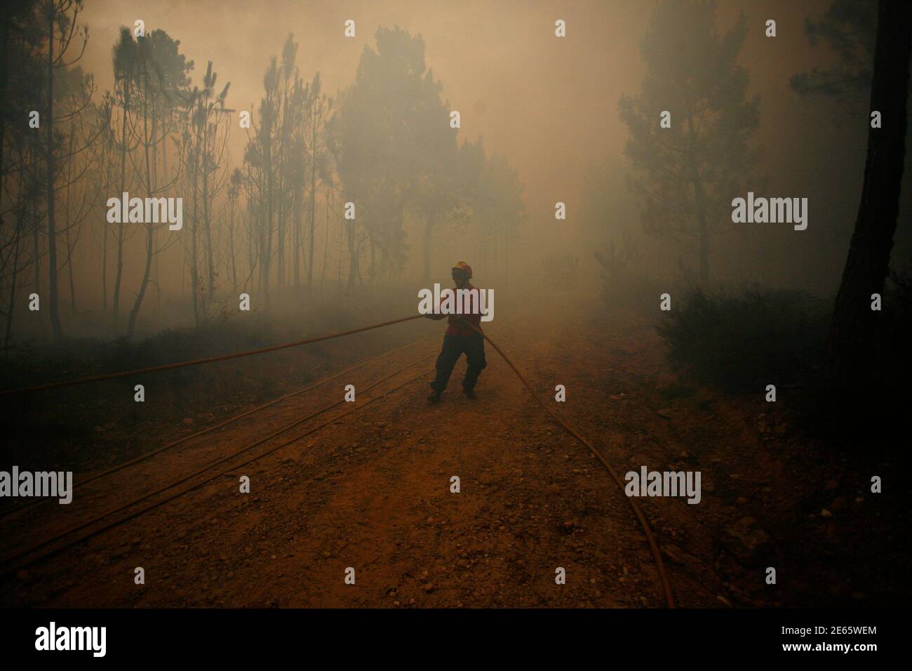 A Fire Fighter Attempts To Extinguish A Fire In Bouca Near Sao Pedro Do Sul August 9 10 More Than 700 Fire Fighters And Soldiers Are Trying To Extinguish Dozens Of Forest Fires In A Fire Fighter Attempts To Extinguish A Fire In Bouca Near Sao Pedro Do Sul August 9 10 More Than 700 Fire Fighters And Soldiers Are Trying To Extinguish Dozens Of Forest Fires In