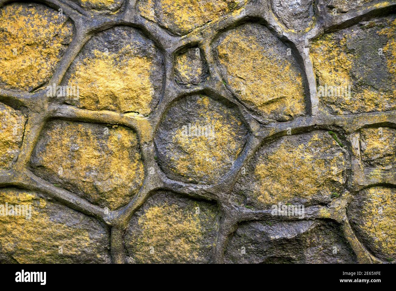 Yellow lichen growing on a grey granite mosaic stone wall Stock Photo