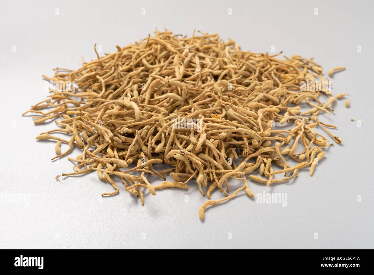 Lonicerae japonicae flos hi-res stock photography and images - Alamy