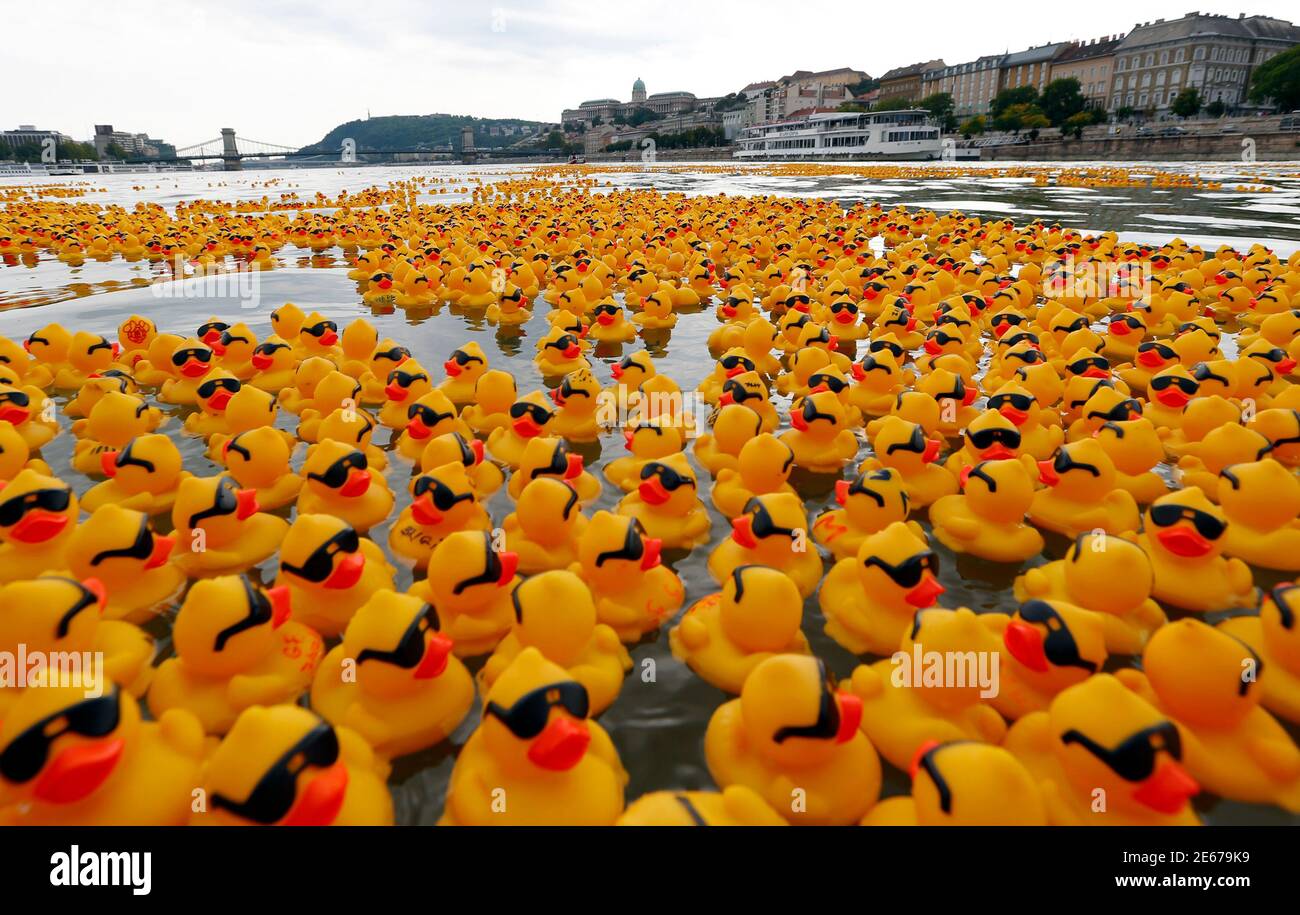 duck with sunglasses float